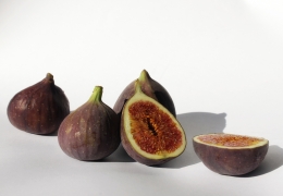 Feigen